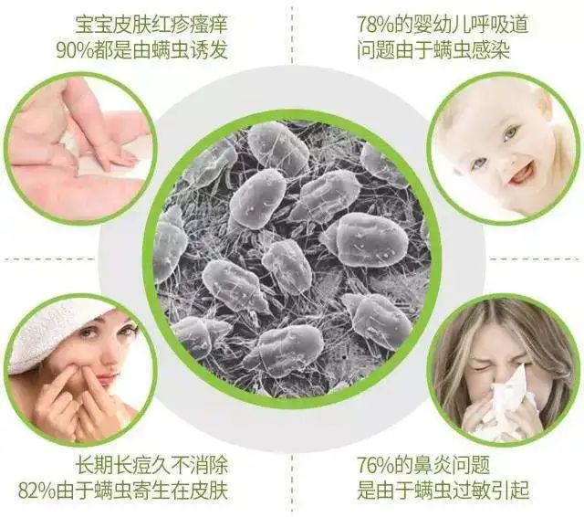 被子不方便曬怎么除螨？曬被子需要曬兩面嗎？