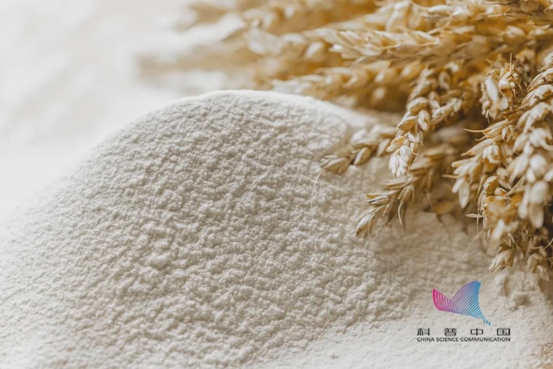 家里的米面為啥憑空出現(xiàn)小蟲？